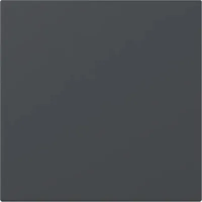 Image de Bascule droite Gira Système 55 Anthracite 349628