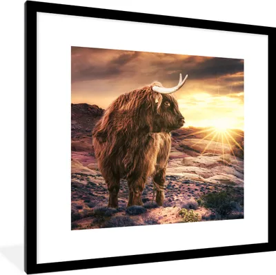 Produktbild von MuchoWow® Gerahmtes Poster Kuh - Schottischer Highlander - Steine 40x40 cm - Poster mit Schwarzem Bilderrahmen Wandposter Rahmen Foto Bilder - Poster - Plakat im Rahmen
