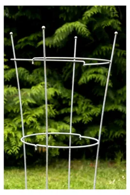 Produktbild von Verzinkter Staudenhalter aus Metall H: 120cm - 2-teilig. Strauchhalter und Rankgerüst
