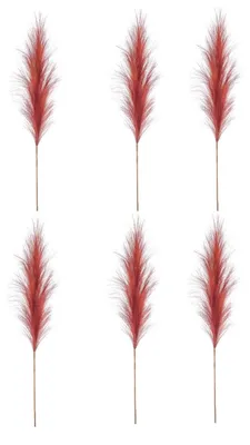 Produktbild von 6er Set künstliches Pampasgras Federzweige rost rotbraun H. 100cm Emerald