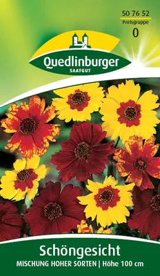 Produktbild von Quedlinburger Saatgut - Schöngesicht Mischung hoher Sorten - Samen - 507652