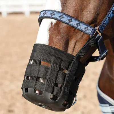 Produktbild von ELDORADO Weidemaulkorb - Pony