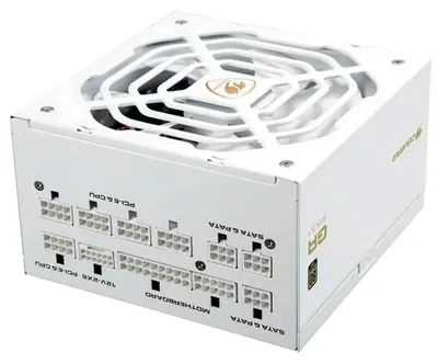 Image de Bloc d'alimentation Cougar GR 1000 Snow 80+ Gold