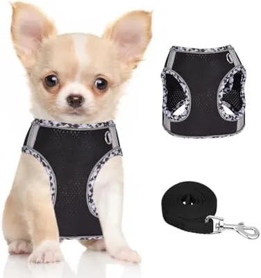 Produktbild von Hundegeschirr mit Leine für Kleine mittelgroße Hunde Gepolstert | Geschirr, reflektierendes, verstellbares, Atmungsaktives Mesh, leichtes, weiches, no-pull, für extra kleine mittelgroße Hunde