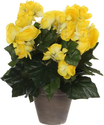 Obrázok produktu pre Mica Decorations Begónia umelá rastlina v kvetináči Stan - H30 x Ø25 cm - žltá