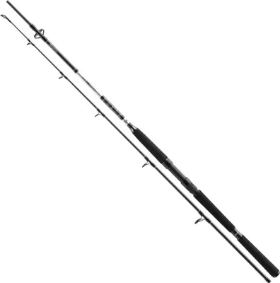 Image de DAIWA BG Offshore Boat, 2,1m, 6,89ft, 150-400g, 2 pièces, canne à pêche bateau, 11928-211