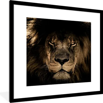 Produktbild von MuchoWow® Gerahmtes Poster Löwe - Tiere - Schwarz - Porträt 40x40 cm - Poster mit Schwarzem Bilderrahmen Wandposter Rahmen Foto Bilder - Poster - Plakat im Rahmen