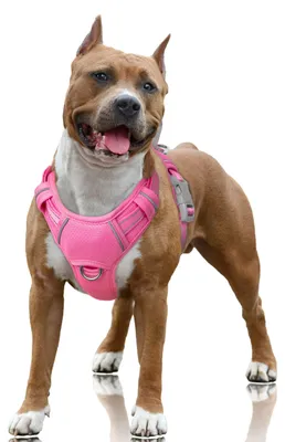 Produktbild von BARKBAY Hundegeschirr, kein Ziehen, groß, reflektierend, mit Frontclip und einfa