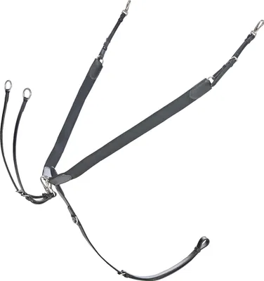 Produktbild von Busse Vorderzeug CAMBRIDGE, Größe:Warmblut, Farbe:braun/Edelstahl