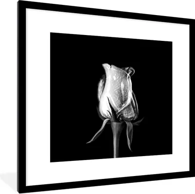 Produktbild von MuchoWow® Gerahmtes Poster Rosen - Blumen - Schwarz - Weiß 40x40 cm - Poster mit Schwarzem Bilderrahmen Wandposter Rahmen Foto Bilder - Poster - Plakat im Rahmen