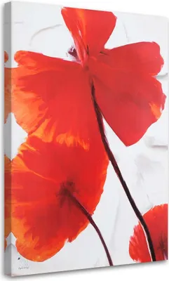 Produktbild von Leinwandbild rote mohnblumen auf hellem hintergrund 70x100 cm Feeby rot wandbild bereit zum aufhängen