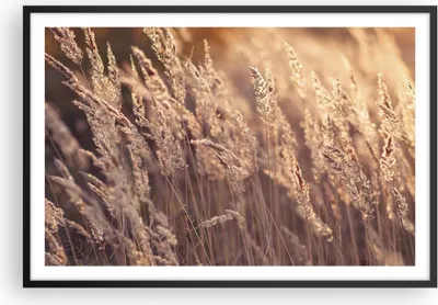 Produktbild von Gerahmtes Poster - Schwarzer Rahmen - Boho Ähren Feld - 91,5x61 cm - Wand Bild - Wanddeko - Wandbilder - Kunstposter - Wandposter - Bilderrahmen - Bilder - Kunstdruck Wanddekoration - P2BAA91x61-4838