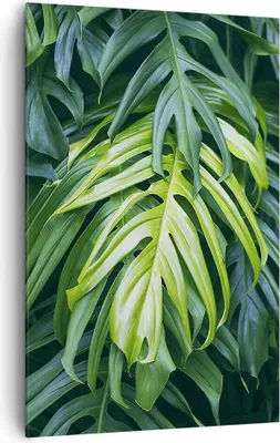 Produktbild von Bild auf Leinwand - Leinwandbild - Einteilig - Blume Natur - 80x120cm - Wand Bild - Wanddeko - Wandbilder - Leinwanddruck - Kunstdruck - Wanddekoration - Leinwand bilder - Wandbild - PA80x120-3951