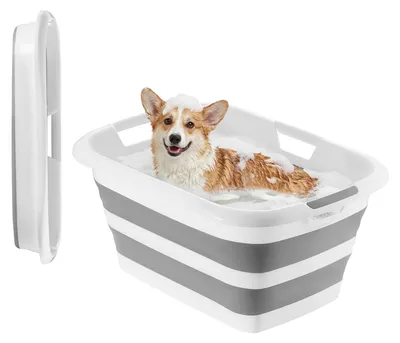 Immagine prodotto di SucceBuy Vasca da bagno pieghevole per cani da 34 L, vasca da bagno portatile per animali domestici in PP e TPR, vasca per il bagno e la toelettatura di cani di piccola taglia e gatti fino a 9 kg, cesto versatile per il lavaggio e lo stoccaggio, grigio e bianco