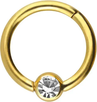 Produktbild von Ohrpiercing, Nasenpiercing, Septum Piercing Titan Segmentring Clicker KRISTALL Gold Innendurchmesser: 7 mm