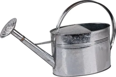 Gießkanne 5 Ltr. verzinkt Metall mit Brause 912916 16970 4031765169707