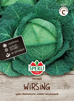 Produktbild von SPERLI Wirsingsamen Vertus 2 Brassica oleracea 70 Pflanzen