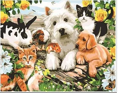 Produktbild von Malen nach Zahlen für Kinder: Kreative Tiere im Garten, 20x30 cm, mit Rahmen