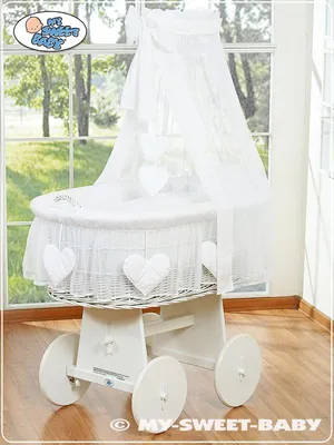 Immagine prodotto di Cesto per neonati con baldacchino - Amelie bianco