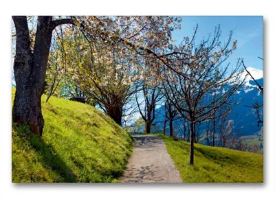Produktbild von Premium Textil-Leinwand 90x60cm quer Premium Textil-Leinwand 90 cm x 60 cm quer Gasteiner Höhenweg in Bad Hofgastein | Wandbild, HD-Bild auf Keilrahmen, Fertigbild auf hochwertigem Vlies, Leinwanddruck von Christa Kramer