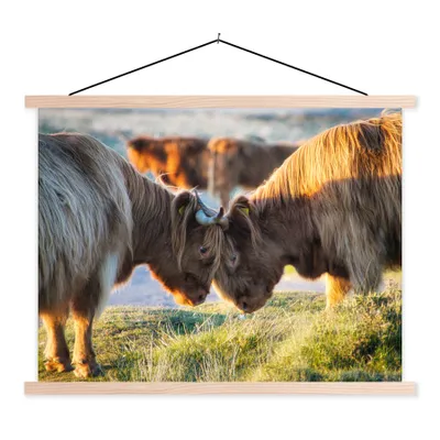 Produktbild von MuchoWow® Textilposter Schottische Highlander - Tiere - Sonne 60x45 cm mit holzfarbenen Rahmen - Bild
