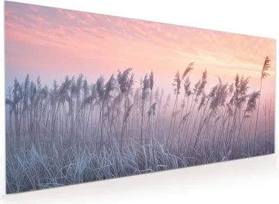 Produktbild von Küchenrückwand Spritzschutz Glas mit Motiv Nebelwiese am Morgen 40 x 40 cm