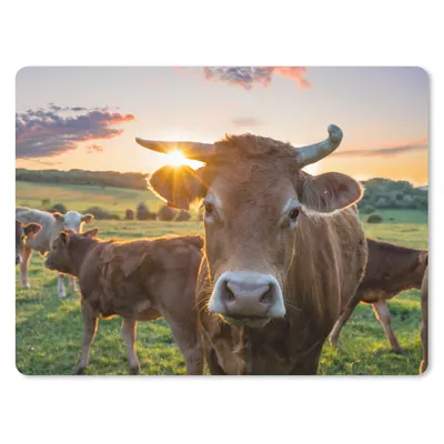 Produktbild von MuchoWow® Mauspad Mousepad Kühe - Sonne - Wiese - Landleben 40x30 cm - Mousepads - Maus Mat - Pad - Mausunterlage - Anti Rutsch