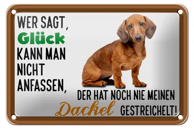 Produktbild von Blechschild Spruch 18x12cm wer sagt Glück Dackel Hund