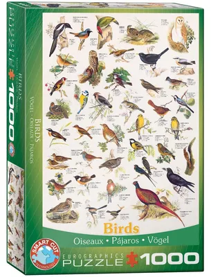 Produktbild von Vögel 1000 Teile