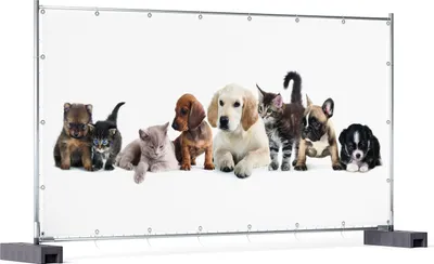 Produktbild von Wallario XXL Outdoor-Poster für Garten oder Balkon, Motiv Hundewelpen und Katzenjunge, in ca. 340 x 173 cm