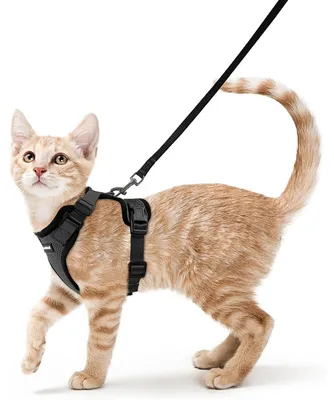 Produktbild von Katzengeschirr mit Leine, Softgeschirr, Ausbruchsicher, Verstellbar, Katzenweste, Schwarz, Größe S