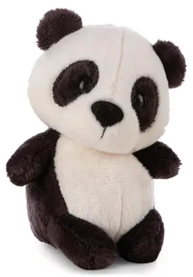 Produktbild von NICI Kuscheltier Panda in Geschenkbox