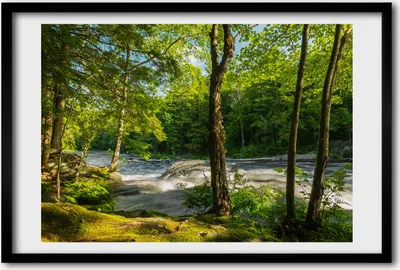 Produktbild von Bild 60x40 MDF-Rahmen, Wandkunst Fluss in den Wald