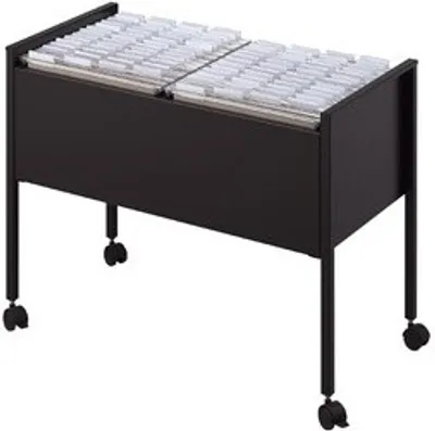 Produktbild von DURABLE Hängemappen Wagen "Economy 100 DUO" schwarz zweireihig