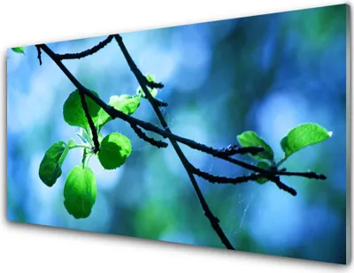 Produktbild von Acrylglasbilder 100x50 Wandbild Druck Zweig Blätter Pflanzen