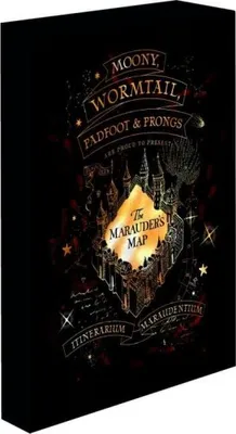Zdjęcie produktu dla Obraz LED 30x40, Harry Potter - Pobertův plánek