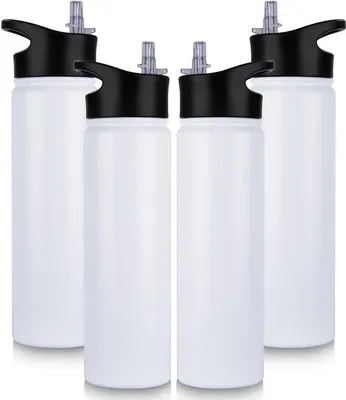 Image de Bouteille isotherme RVS - 750 ml - avec paille, sans BPA, pour jus et boissons, avec 2 couvercles, idéale pour le sport, les voyages, le camping, l'école et le vélo.