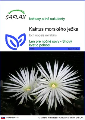 Obrázok produktu pre SAFLAX - kaktus morského ježka - Echinopsis mirabilis - 40 Semená