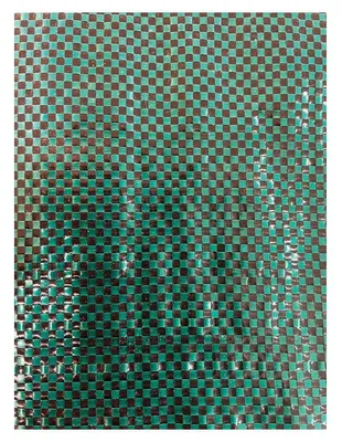 Image de Toile Paillag Tissée L20x1.5 M