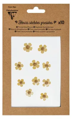 Produktbild von Clairefontaine Echte, vorgepresste Trockenblumen, gelb, 10 Stück, für Dekoration und Basteln