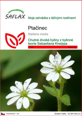 Obrázek produktu pro SAFLAX - Ptačinec - Stellaria media - 1000 Semena