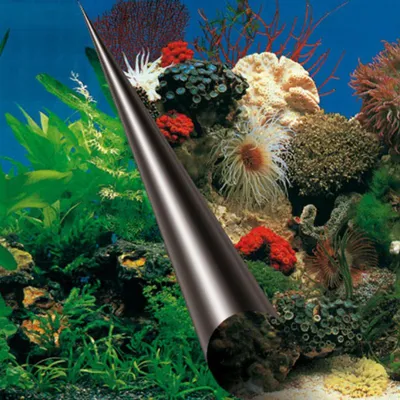 Immagine prodotto di Aqua Della: pannello fotografico con pietre e coralli, dimensioni: 60 x 30 cm