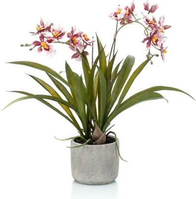 Produktbild von artplants.de Kunstorchidee Oncidium COLUNGA im Keramiktopf, rosa-violett, 45cm - Orchideen künstlich im Topf/Orchidee Seidenblumen