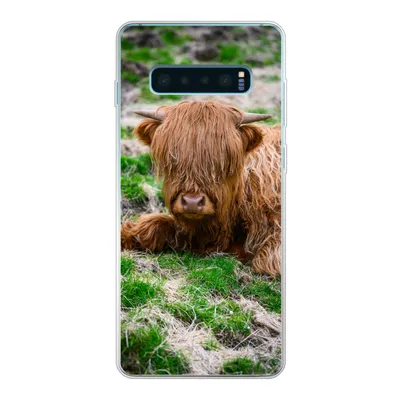 Produktbild von MuchoWow® Handyhülle Schutzhülle Hülle für Samsung Galaxy S10 Plus Schottischer Highlander - Heu - Gras Silikon Softcase Handy Hülle - Schutzhülle