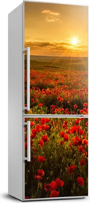 Imagen del producto de Decoración para nevera Tulup - 70x190 cm - Vinilo adhesivo para nevera - Paisaje: campo de amapolas