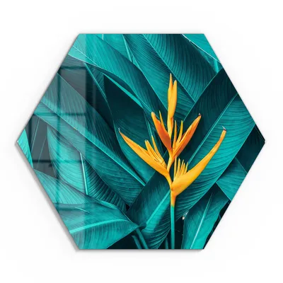 Produktbild von DEQORI Glasbild Echtglas 40x35 cm 'Exotische Tropenblüte' Wandbild Bild modern Deko