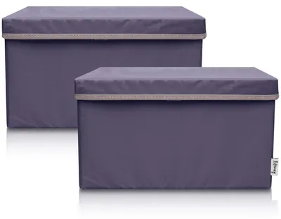 Produktbild von Lifeney 2-Set Aufbewahrungsbox Kinder (37x25x21cm) I Aufbewahrungskorb für Kinderzimmer und Wohnbereich I Kinder Aufbewahrungskiste (Anthrazit)