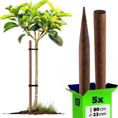 Produktbild von KADAX Holzstäbe 80 cm x 23 mm, 5er Set, Pflanzstäbe aus imprägniertem Holz, Holzpfähle als Rankhilfe für Pflanzen, Bäume, Tomaten & Sträucher, Tomatenstäbe (5 Stück, 80 cm)