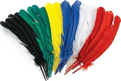 Image de Colorations - Plumes 30cm, lot de 24