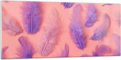 Produktbild von Bilder auf glas - Vogel Feder Farbe Komposition - 120x50cm - Glasbilder - Wandbilder - Kunstdruck - zum Aufhängen bereit - Wanddekoration aus Glas - Glas Bilder - Wandbild auf Glas - GAB120x50-2922